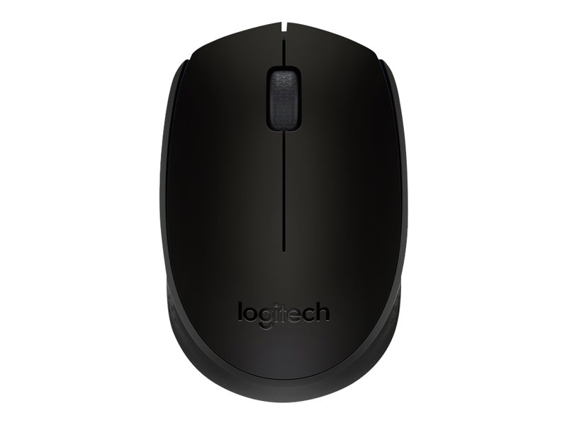 Souris Logitech M171
